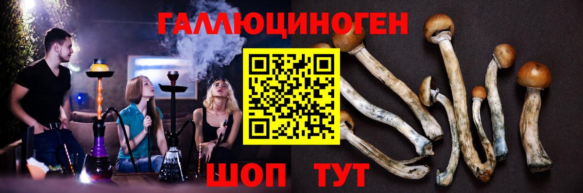 Галлюциногенные грибы прущие грибы  Вход с VPN  закладки  Отрадное 